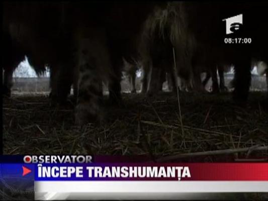Incepe transhumanta