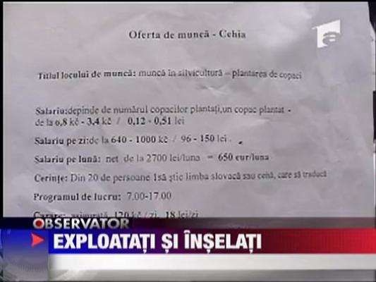 Exploatati si inselati! La munca in Cehia