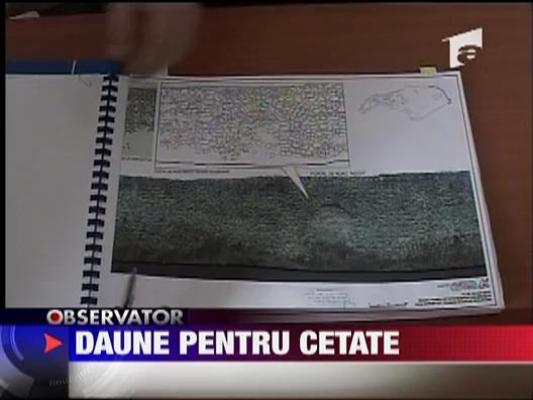 Daune pentru cetate