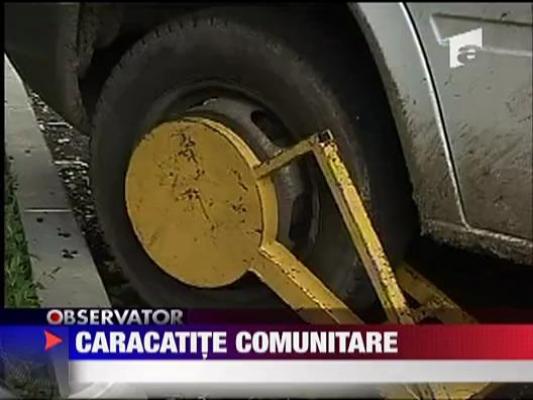 Caracatite comunitare