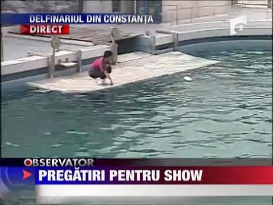 Pregatiri pentru show la delfinariul din Constanta