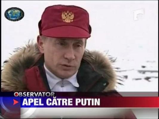 Pamela Anderson apeleaza la bunatatea lui Putin