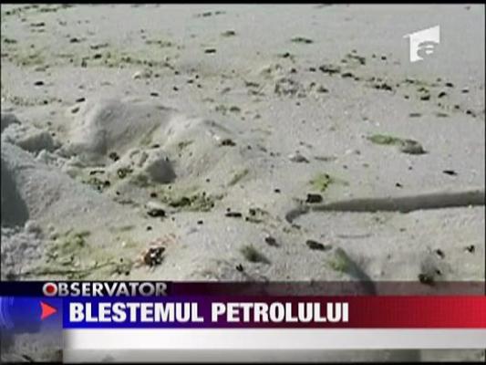 Uriasa pata de petrol din oceanul Atlantic a ajuns si in Florida