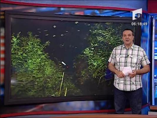Au plonjat cu masina intr-o rapa de 15 metri