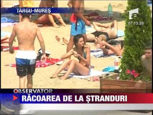 Racoarea de la stranduri