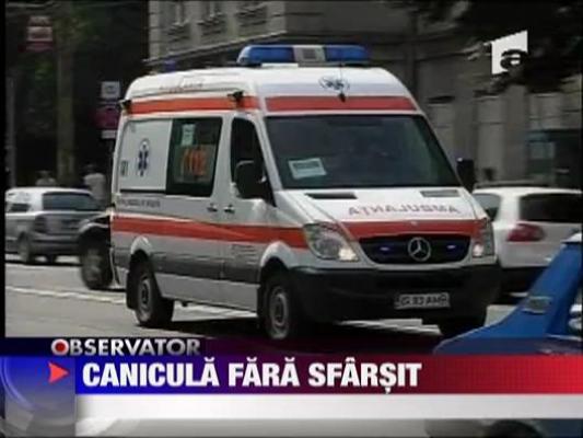 Canicula fara sfarsit