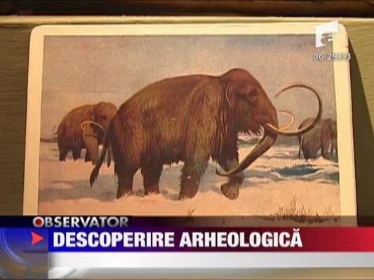 Descoperire arheologica