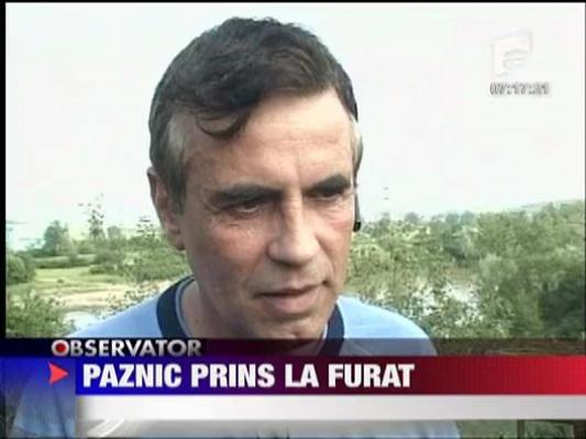 Paznic prins la furat