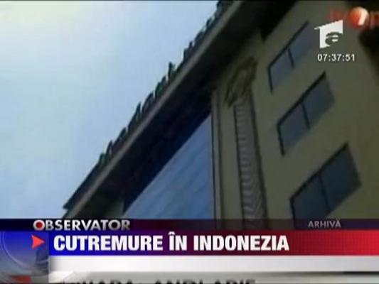 Cutremure in Indonezia