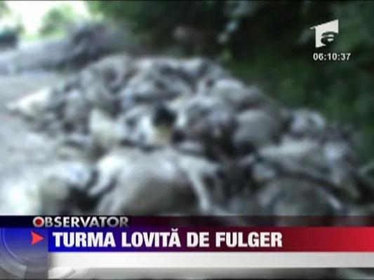 Turma lovita de fulger