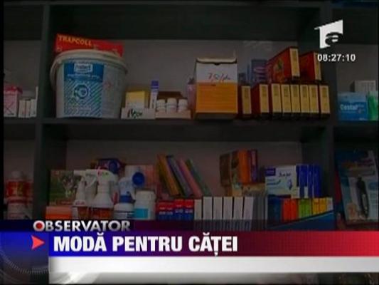 Moda pentru catei