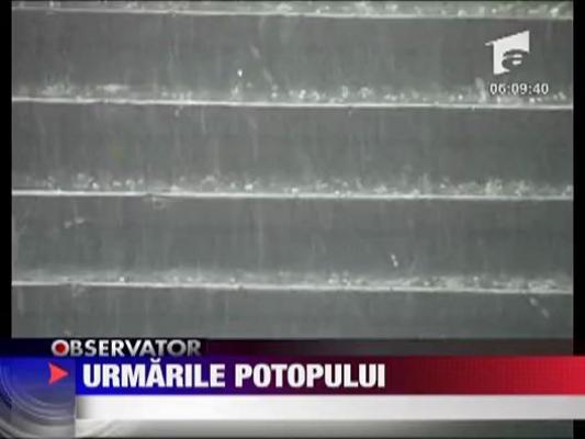 Urmarile potopului