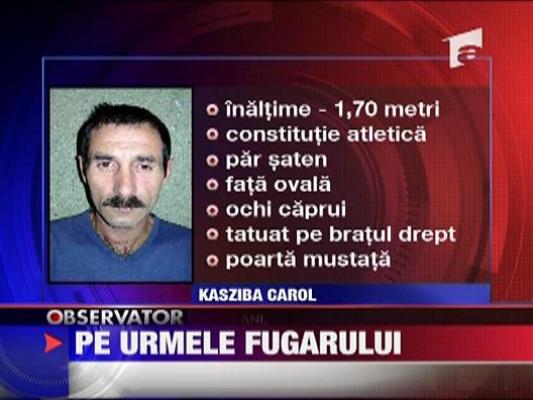 Pe urmele fugarului