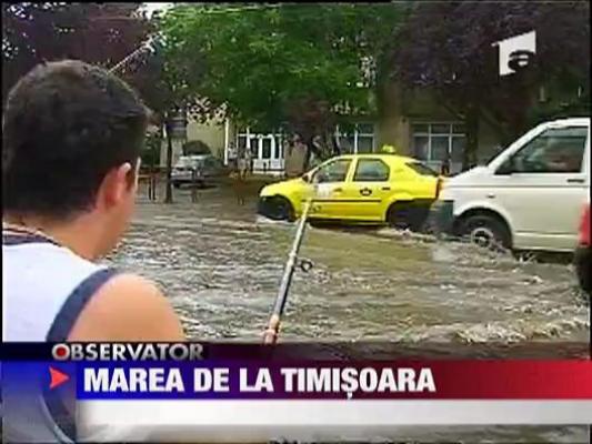 Timisorenii au facut haz de necaz dupa furtuna