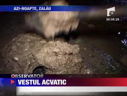 Vestul acvatic al Romaniei