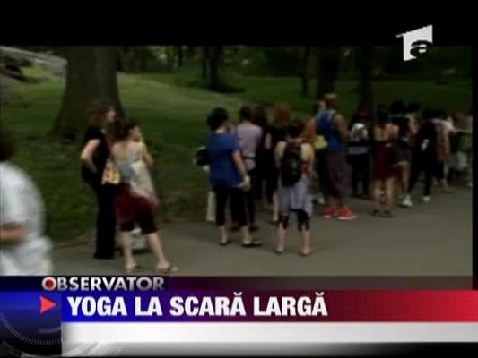 Yoga la scara larga