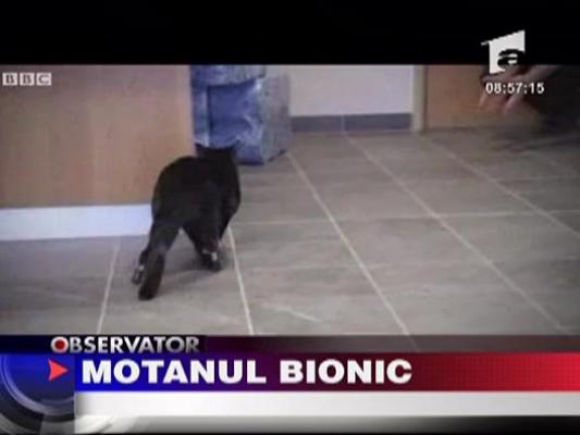 Motanul bionic