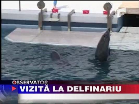 Vizita la delfinariu