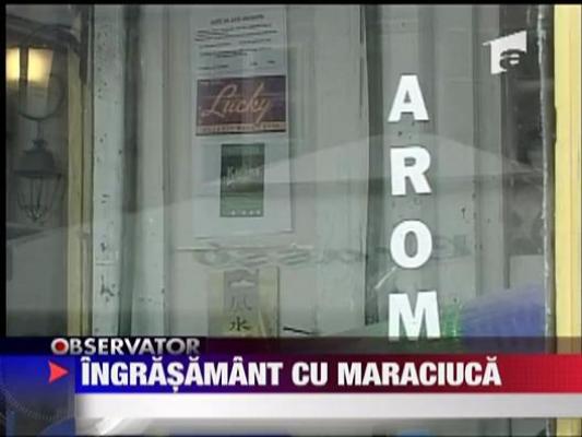 Ingrasamant cu maraciuca