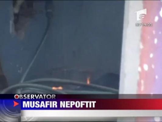 Musafir nepoftit