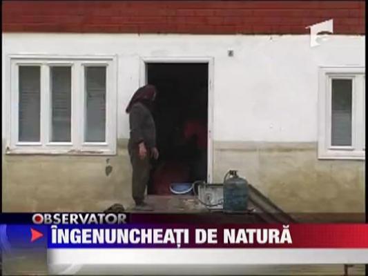 Ingenunchiati de natura