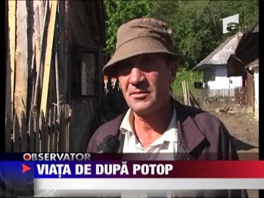 Viata dupa potop