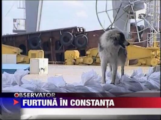 Furtuna in Constanta