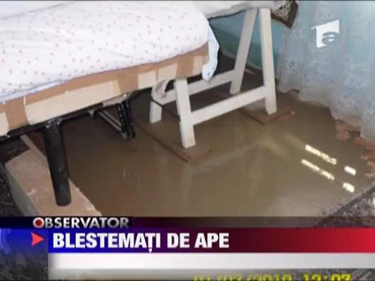 Blestemati de ape