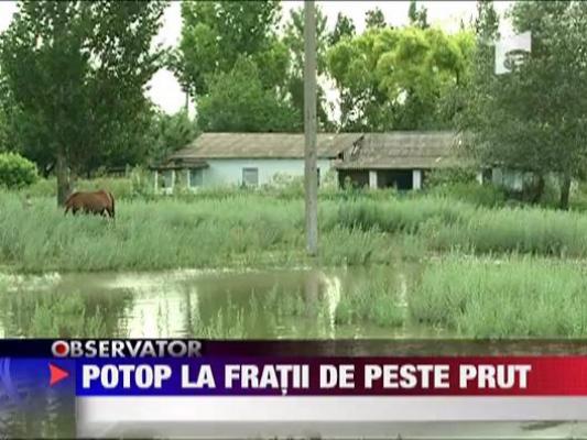 Potop la fratii de peste Prut