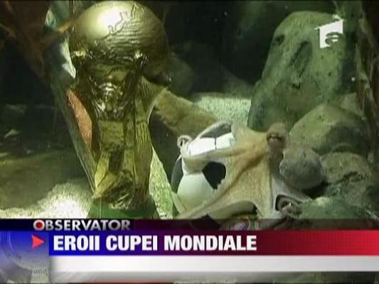 Eroii Cupei Mondiale