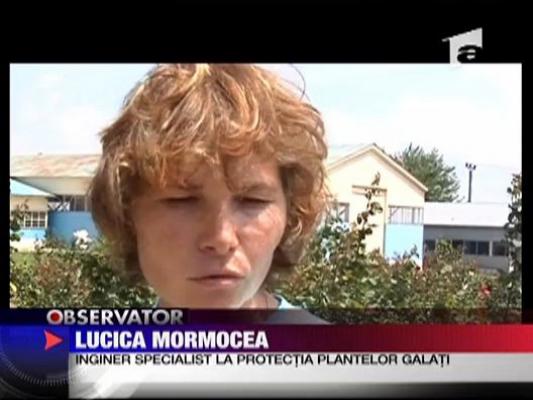 Otrava care a ucis-o