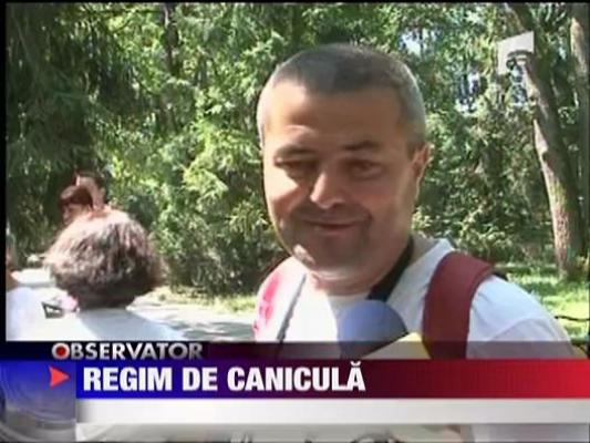 Regim de canicula pentru animalele de la zoo