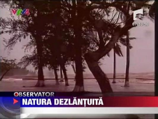 Natura dezlantuita