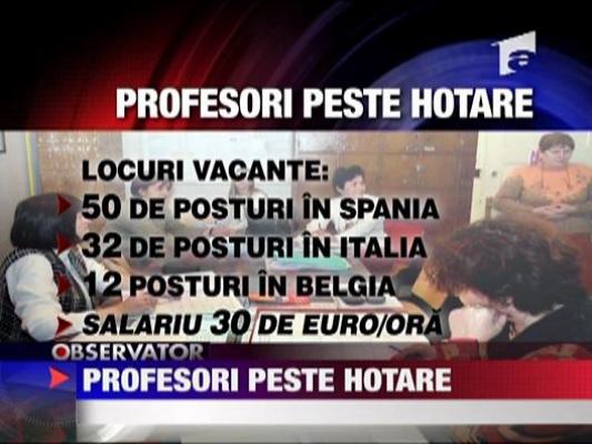 Profesori peste hotare