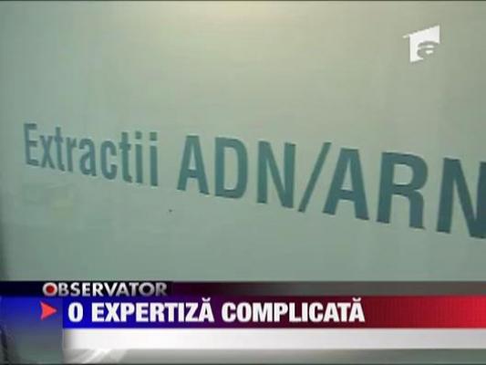 30 % sanse sa aflam daca sotii Ceausescu sunt cei din cimitirul Ghencea