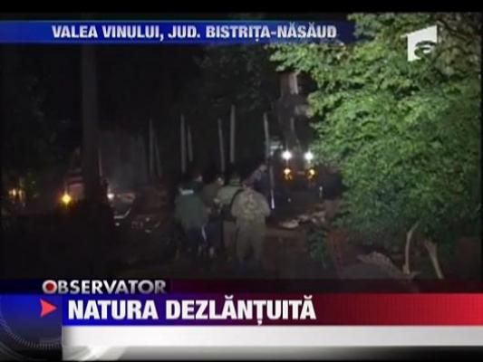 Natura dezlantuita in Bistrita