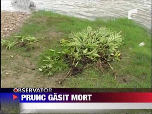 Prunc gasit mort