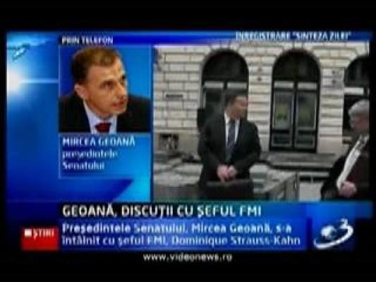 Geoana, discutii cu seful FMI