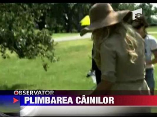 Pamela Anderson, la plimbare cu 50 de caini