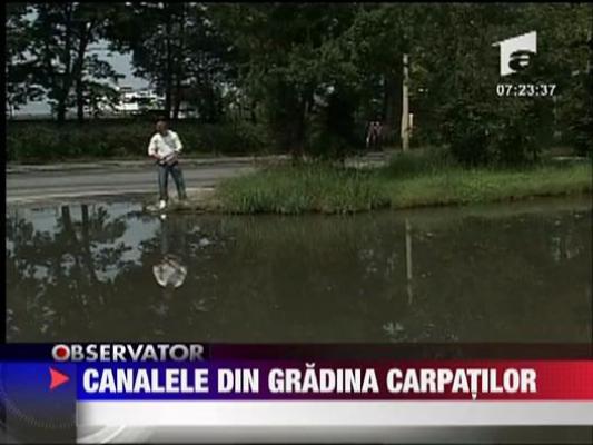 Canalele din gradina carpatilor