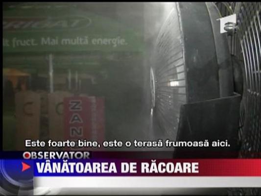 Vanatoarea de racoare