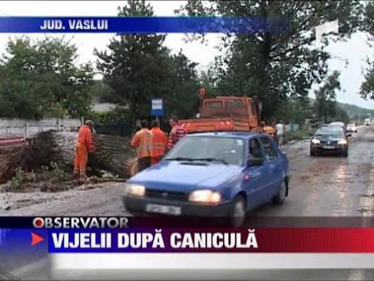 Vijelii dupa canicula