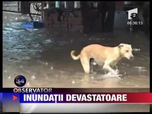 Romani loviti de inundatii in India