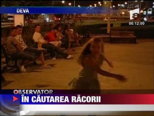 In cautarea racorii, romanii ies noaptea