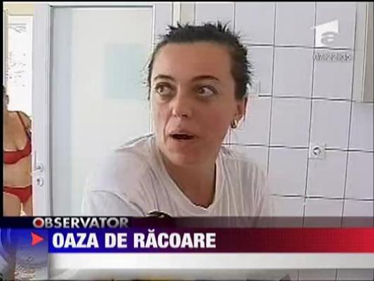 Oaza de racoare