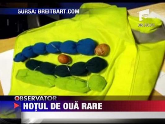 Hotul de oua rare