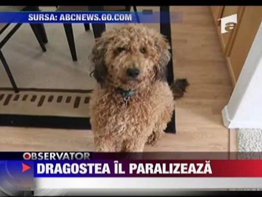 Dragostea il paralizeaza