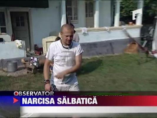 Narcisa salbatica