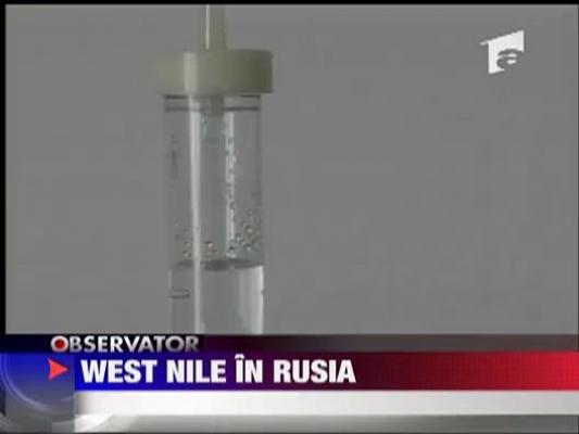 West Nile face victime pe banda rulanta in Rusia