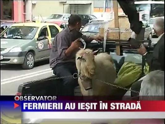 Fermierii au iesit in strada